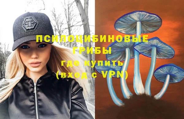 шишки Алексеевка