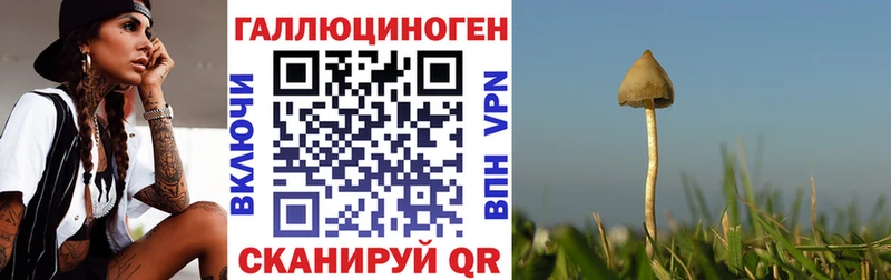 Псилоцибиновые грибы мухоморы  закладки  Обнинск 